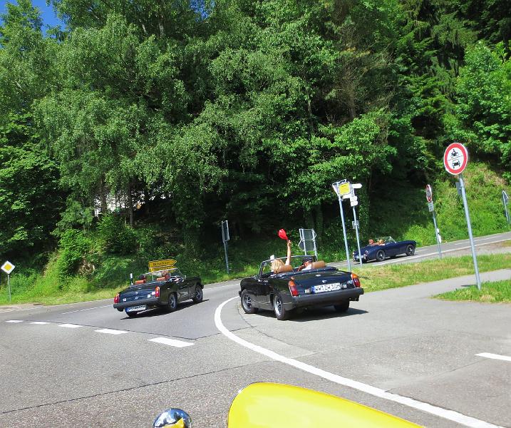ZONDAG 16-6-2013 (112).JPG